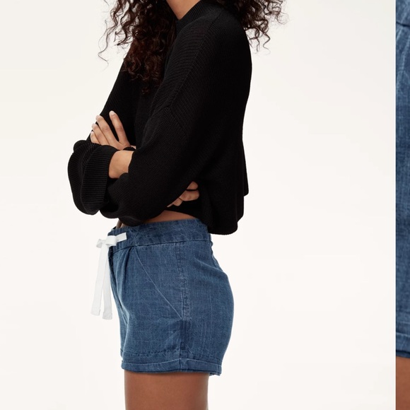 Aritzia Wilfred Allegra shorts - so cute - Picture 4 of 5